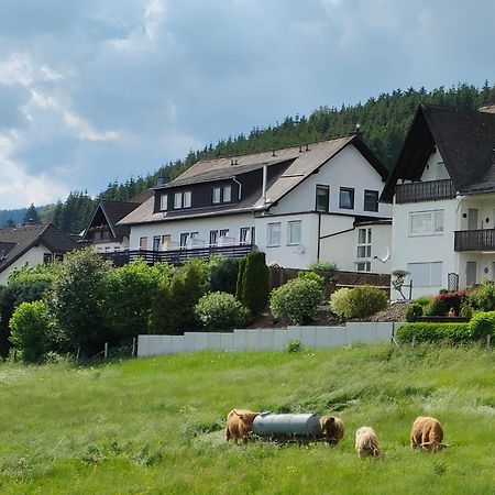 Pension Sauerland วินเทอร์แบร์ก ภายนอก รูปภาพ