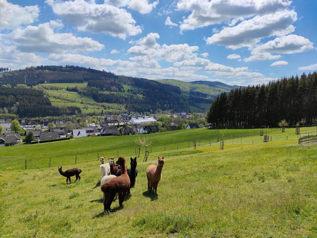 Pension Sauerland วินเทอร์แบร์ก ภายนอก รูปภาพ
