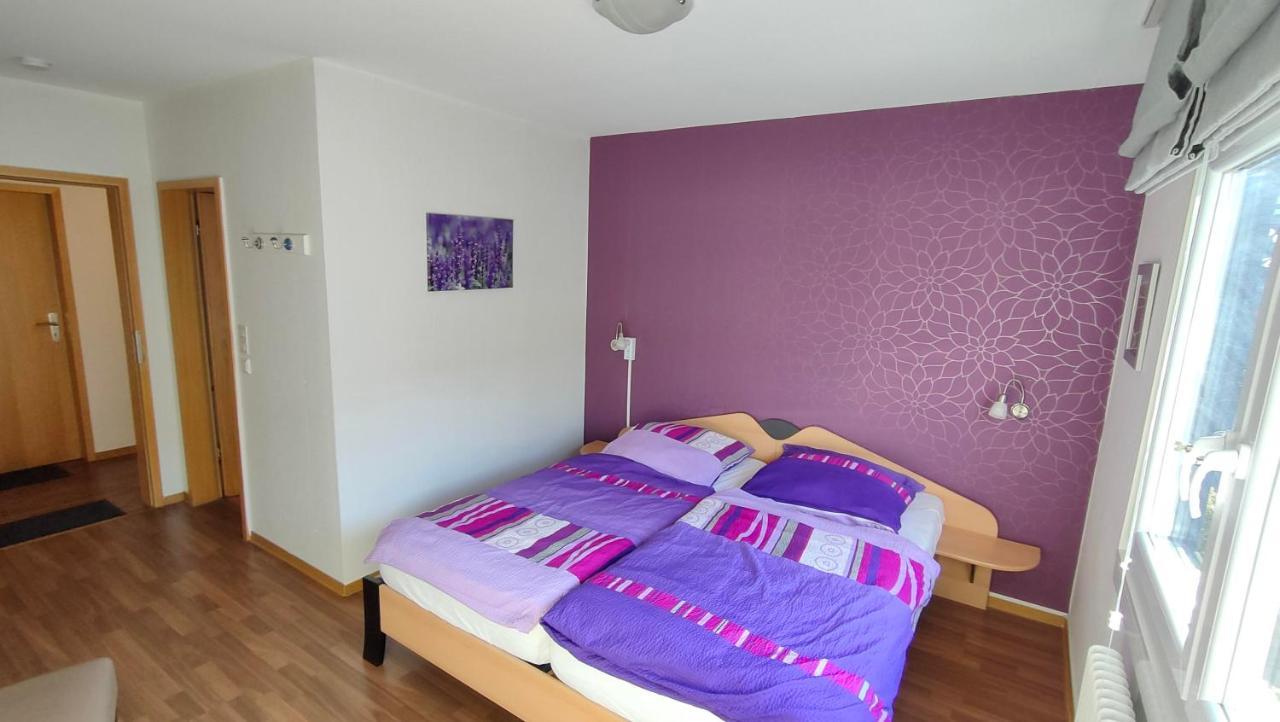 Pension Sauerland วินเทอร์แบร์ก ภายนอก รูปภาพ